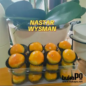 NASTAR WYSMAN Cik And Koh