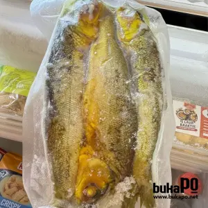 BANDENG PRESTO Aroma Mesari