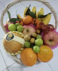 InShot_20250324_073209101