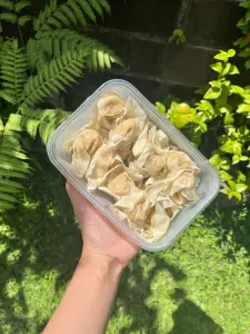 PANGSIT AYAM FROZEN Paon Merta Urip