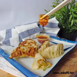 chicken gyoza_1