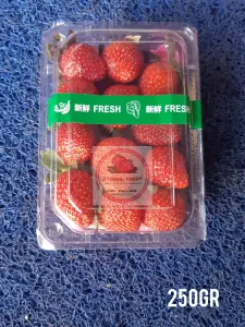 WhatsApp Image 2023-08-21 at 11.59.27